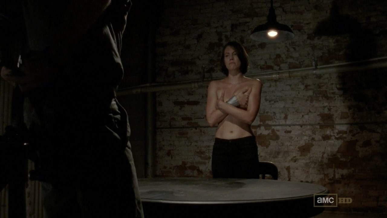 Lauren Cohan, The Walking Dead (TV Series 2010.